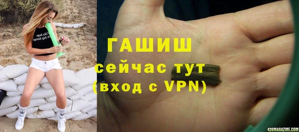 твердый Ельня
