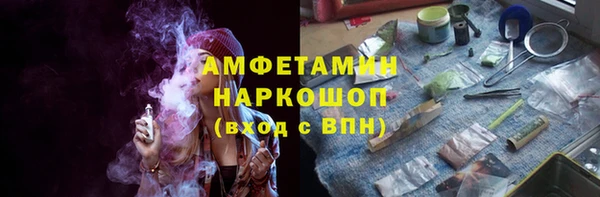 твердый Ельня