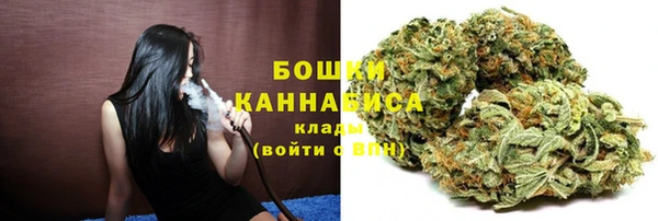 твердый Ельня