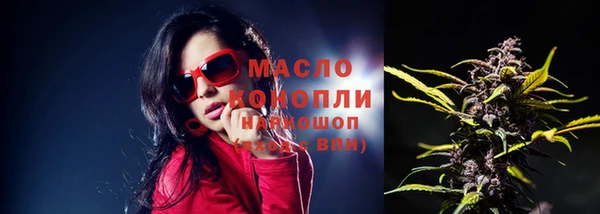 твердый Ельня