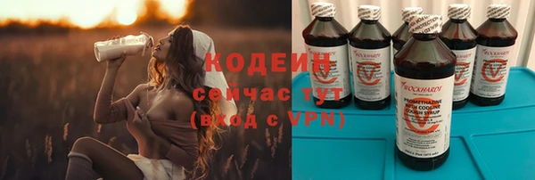 твердый Ельня