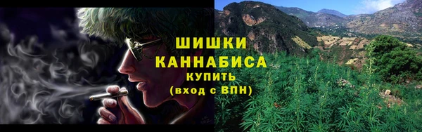 твердый Ельня