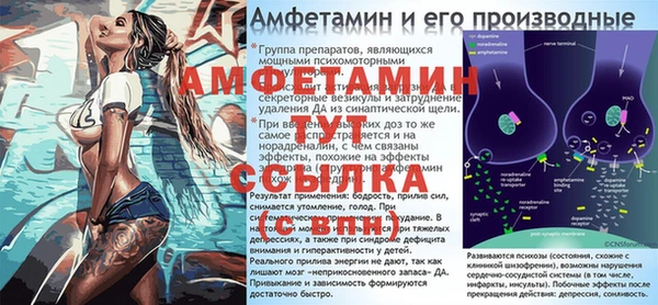 твердый Ельня