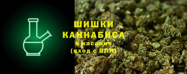 твердый Ельня