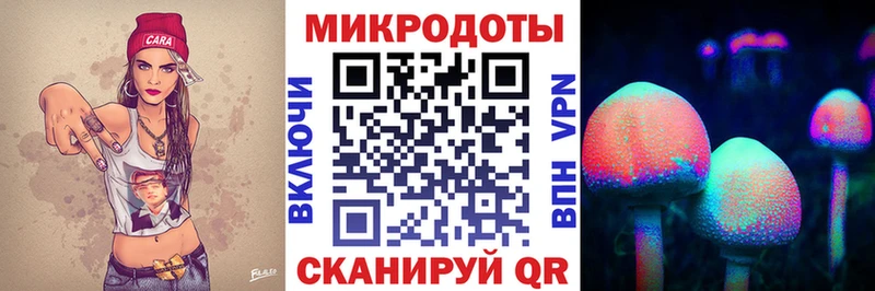 Псилоцибиновые грибы прущие грибы  Красноярск 